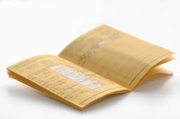 immunization vaccination book